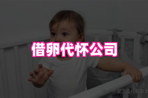 无锡助孕网 1