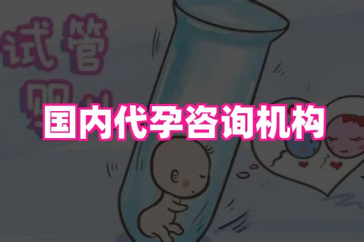 无锡助孕网 4